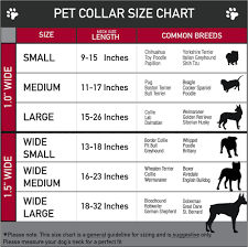 Hi, i was wondering if anyone has a growth chart/percentile chart for corgis. Corgi Neck Size Online
