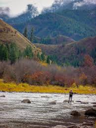 trout fishing on the bitterroot river and creeks