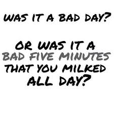 Was It A Bad Day Or A Bad 5 Minutes That You Milked All Day Great Inspirational Quotes Life Quotes Quotable Quotes