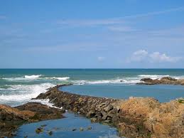 Les Sables D Olonne Les Sables D Olonne Vendee Cabane Dans Les Arbres
