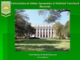 Prezentare universitatea de stiinte agronomice si medicina. Ppt Universitatea De StiinÅ£e Agronomic E Si MedicinÄƒ VeterinarÄƒ Bucuresti Powerpoint Presentation Id 4632898