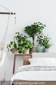 Houseplants For Bedrooms Indoor Plants For The Bedroom Great Ideas For Displaying And Growing Plants In The Bed Bedroom Plants Indoor Plants House Plant Care