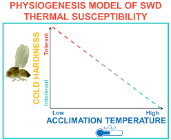 Es dauert nur einen moment und ist komplett anonym. Insects Free Full Text Phenotypic Plasticity Promotes Overwintering Survival In A Globally Invasive Crop Pest Drosophila Suzukii Html