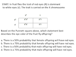 Eye Color Inheritance Chart Which Is Dominant Genetics