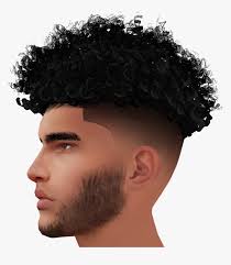 Chris Male Hairline Half Hair African Braiding Styles Hd Png Download Kindpng