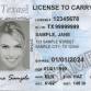 License to Carry event image