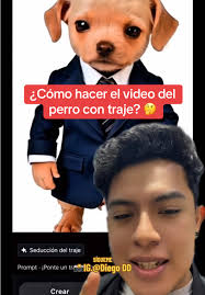 ¿Cómo hacer el video del perro elegante o perro con traje? 🤔