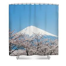 Check spelling or type a new query. Mount Fuji Cherry Blossom Shower Curtain For Sale By Ooyoo