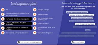 Lycee Petit Manuel De Choix Des Specialites A L Usage Des Futurs Candidats A L Enseignement Superieur Docs En Stock Dans Les Coulisses De La Democratie Universitaire