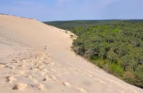 Conseils Pratiques Pour Visiter La Dune Du Pilat La Mariniere En Voyage En 2020 Dune Du Pilat Le Pilates Visiter Arcachon