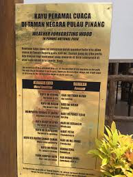 Today the maximum temperature is 28 degrees celsius (83° fahrenheit). Malaysian Weather Forecast Machine Album On Imgur