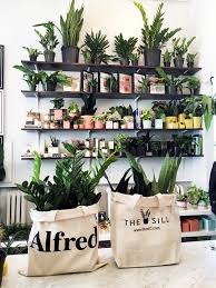 The Sill Plants Make A Happy Home Helpful Houseplant Tips Decoration Florale Magasin Fleuriste Fleuriste