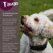 Verena Eicher-Steffen