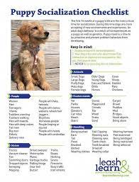 Nutrathrive, nutrabites, juve flex, canine detox Potty Training Often Called Home Training Is One Of The Most Essential Things That Brand New Pet Dog Puppy Socialization Dog Training Obedience Dog Training