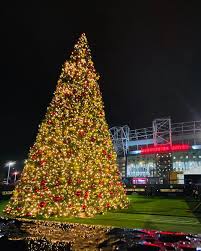See more ideas about christmas, christmas tree, big christmas tree. Large Commercial Christmas Trees Uk Indoor Outdoor Use