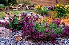 Maybe you would like to learn more about one of these? Xeriscape Resources Parker Water Sanitation District