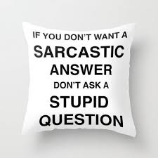 The Pillow Itself Gets Its Name Because While It S Fairly New In The States It S Old Hat In Almost Every Portion Of Funny Throw Pillows Funny Pillows Pillows