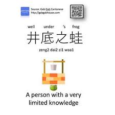井底之蛙 lit a frog is under a well a person with very limited knowledge 井 well 底 bottom under 蛙 frog 你呢次考試攞到a就以為自己係天才 你未免 person knowledge wellness