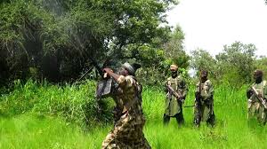 Presents a song title sambisa. Sahara Reporters Pa Twitter Flash Boko Haram Leader Abubakar Shekau Has Just Released A New Video From Sambisa Forest More Details Later