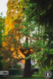 Related Image Best Background Images Blur Background Photography Blurred Background