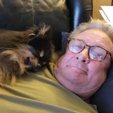 Pomeranian owners: Help with alopecia and hair loss