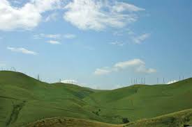 Lucid, Gutierrez Top Ballots for CSD; Lampel & Clements for LUSD MH  Military Veterans Group Founder Speaks Out