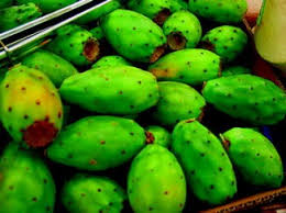 Prickly pear cactus contains a number of important minerals including potassium, calcium and phosphorus. Opuntia Ficus Indica Springerlink