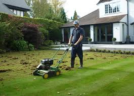 However, like most lawn health initiatives, the timing must be right. How Often Should You Scarify Your Lawn The Lawn Man