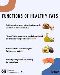 Fats are a vital component of our diet, serving several important functions in the body. They provide a concentrated source of energy, helping to fuel our daily activities. Fats also play a