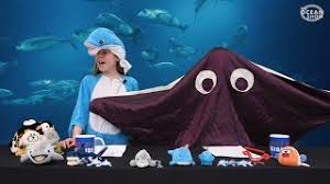 Marine Habitats Theschoolrun