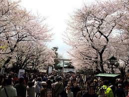 Check spelling or type a new query. é–å›½ç¥žç¤¾ æ¡œ ï¼'ï¼ï¼'ï¼å¹´ é£Ÿã®è¨˜éŒ²é›†