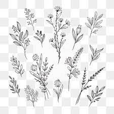 Cvetok Ruchnoj Raboty Konturnyj Cvetok Cvetok Ruchnoj Raboty Chernyj Png I Vektor Png Dlya Besplatnoj Zagruzki Watercolor Flower Illustration Pink Flowers Background Vector Flowers