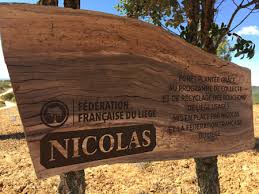 Si vous ne souhaitez pas jeter vos bouchons en liège, vous pouvez les conserver chez vous, dans le but d'en faire de jolies petites choses diy. Collecte Des Bouchons De Liege Nicolas Ecologie