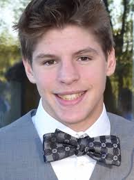 2016-17 All-Livingston County boys swim team