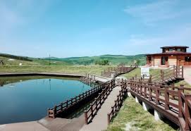 Clujul are cea mai mare gradina botanica. Traseu De Weekend Castele Banffy Gherla Dej Sic ClujulvÄƒzutaltfel