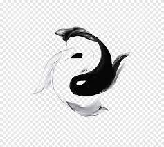 Yin yang koi fish drawing. Black And White Koi Fish Forming Yin Yang Illustration Koi Yin And Yang Yin Yang Fish Tattoo Drawing Creative Fish Taiji Bagua White Animals Png Pngegg