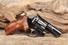 Pin On Ruger Gp100