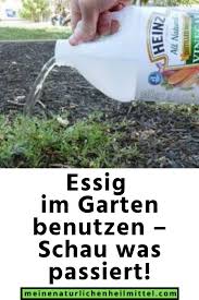 Essig Im Garten Benutzen Schau Was Passiert Personal Care Toothpaste