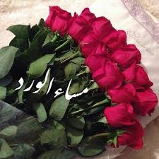 pin by raeda z on مسائي معكم اجمل beautiful love images love images rose