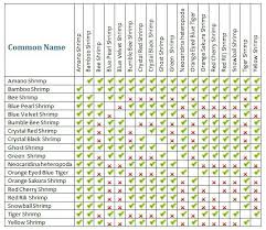 freshwater shrimp compatibility chart shrimp fish chart