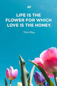Maybe you would like to learn more about one of these? 48 Inspirational Flower Quotes Cute Flower Sayings About Life And Love