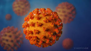 Image result for coronavirus update