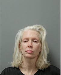 ᐅ Illinois Criminal Records 2009-2025