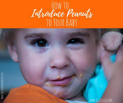 Wait 10 minutes between the first and second taste. How To Introduce Peanuts To Your Baby Peanut Allergy Jill Castle Rdn