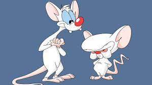 Check spelling or type a new query. Pinky And The Brain Theme Song Gets A Postmodern Jukebox Twist Nerdist
