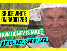 Hi Tech Tools to Better Understand Your Bees by Michael Syme