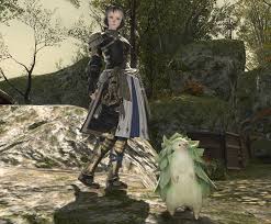 Forgiven dissonance the first boss in holminster switch is the creepy looking sin eater we saw in the ffxiv shadowbringers reveal. Ffxiv Leveling Trusts Gaming And Geek Life Blog