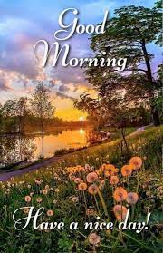 818 Nature Good Morning Images Photos Flowers Pictures In 2021 Good Morning Quotes Good Morning Nature Good Morning Beautiful Pictures