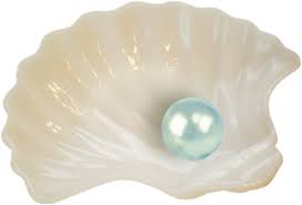 Pearl In Shell Blue Pearl Pearls Mermaid Fashion