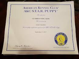 Your new puppy will be sent home with a care package invest in cesar milan's book. Our Pups Are Graduating From Obedience And Akc Star Classes Central Asian Shepherd Dog Breeders